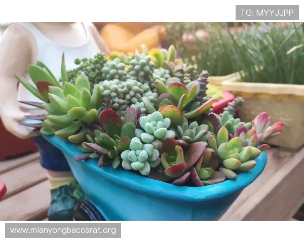 提升ebet真人厅游戏技巧,掌握赢取大奖的实用策略与经验分享 提升ebet真人厅游戏技巧,掌握赢取大奖的实用策略与经验分享