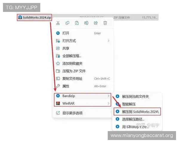 dg视讯官网下载最新版本，快速下载安装流程详解与常见问题解决方案