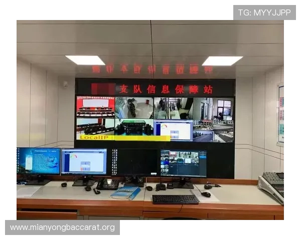 如何选择安全稳定的视讯下载工具确保视频资源快速高效获取