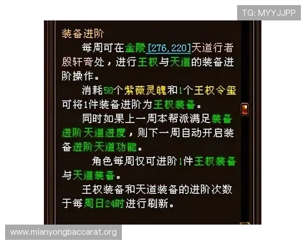 百家乐看路技巧实用技巧合集，帮助玩家快速掌握核心要点